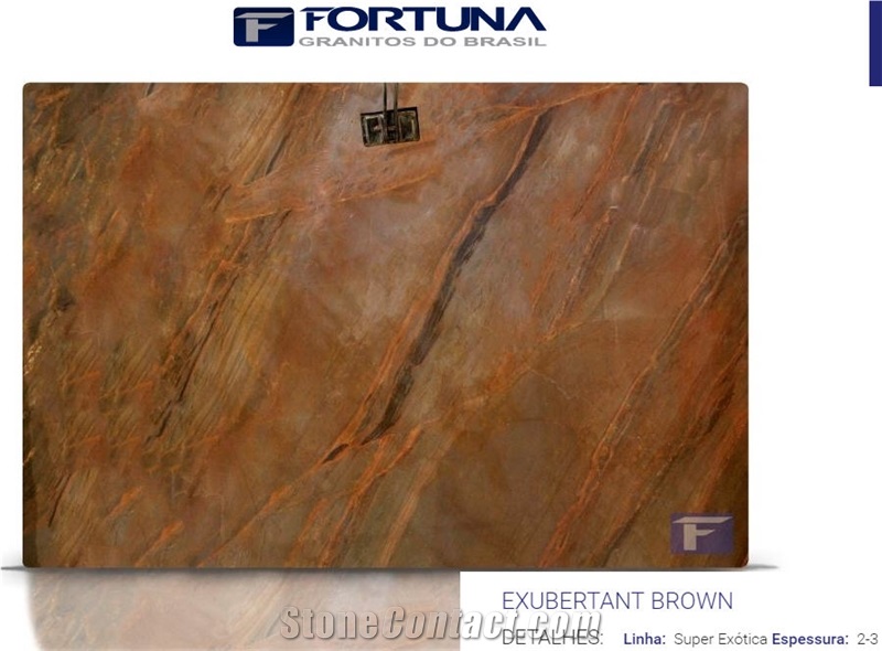 Exuberant Brown Slabs