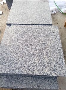 New G623 Granite Tiles & Slabs, China Grey Granite,G623 Granite Rosa Beta Flamed Tiles, China Grey Granite
