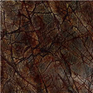 Rain Forest Brown Marble Rain Forest Brown Marble