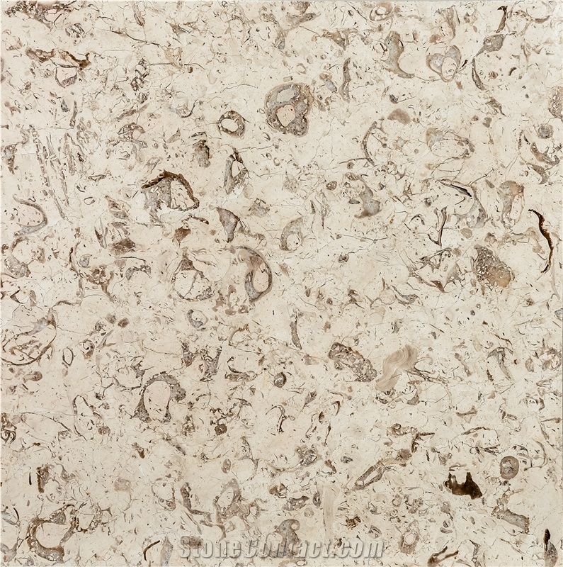 Partavousi Marble Tiles & Slabs, White Polished Marble Floor Tiles, Wall Tiles