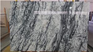Dynossaurus Marble Tiles & Slabs, New York Marble