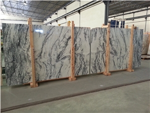 Dynossaurus Marble Tiles & Slabs, New York Marble