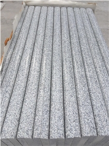 G603 / Silver Grey Polished Bullnose Pool Coping,Silvery Grey Hubei G603 Padang Crystal Granite,Sesame White Granite,Crystal Grey Granite,Light Grey Granite Bullnose