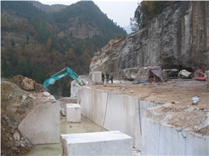 Blue Coral(Marble) Blocks,China Blue Marble,Quarry Owner,Good Quality,Big Quantity