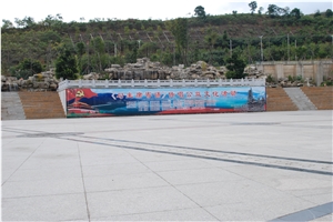 Granite Wall Covering Tiles，Exclusive Colour，Pear White Granite Block
