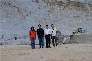 Pear White Granite Blocks,Quarry Pear White Granite Blocks,Quarry