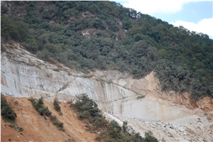 Pear White Granite Quarry/ Blocks Pear White Granite Quarry/ Blocks
