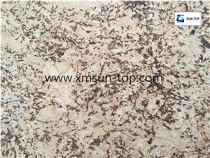 Splendor Gold Granite Slab/Brazil Granite/Big Slabs & Tiles & Gangsaw Slabs & Strips(Small Slabs) & Customized