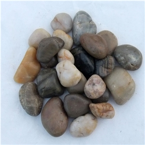 Smc-Pm011 Mixed Color Polished a Grade 2-3cm Natural Cobble &Pebble Stone/Riverstone/Landscaping Stone/Walking Stone