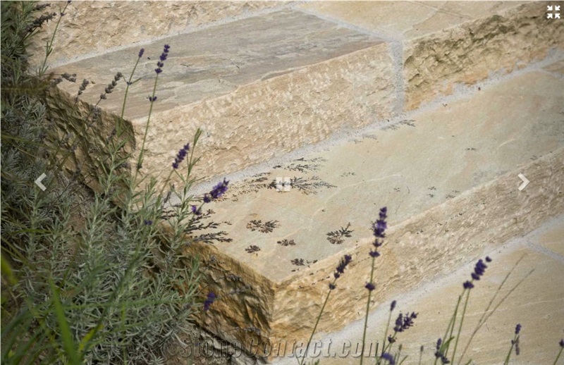 Sandstone Pool Terrace Pavement