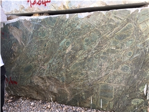 Breccia Seattle
