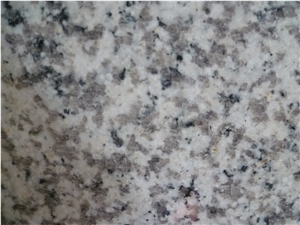 G655 Grey Granite Tiles & Slabs, China White Granite G655 Grey Granite Tiles & Slabs, China White Granite