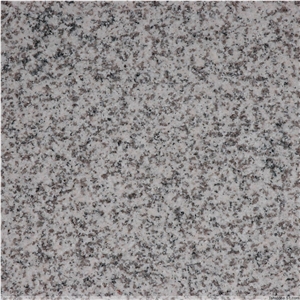 G655 Grey Granite Tiles & Slabs, China White Granite