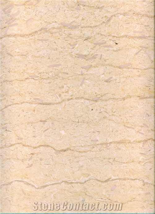 Silvia Nour Marble Tiles, Slabs