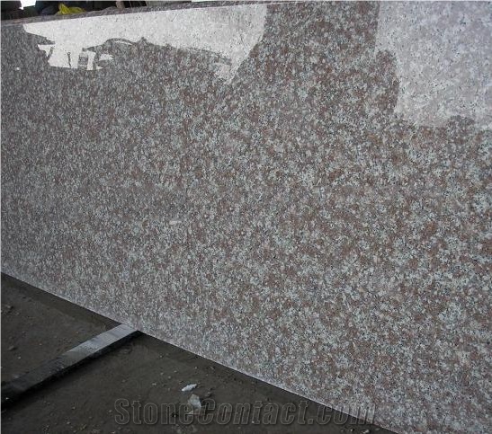 Granite G664 Kitchen Countertop