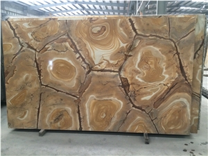 Stone Wood Quartzite Slabs & Tiles, Brazil Yellow Quartzite