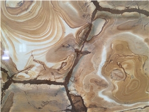 Stone Wood Quartzite Slabs & Tiles, Brazil Yellow Quartzite
