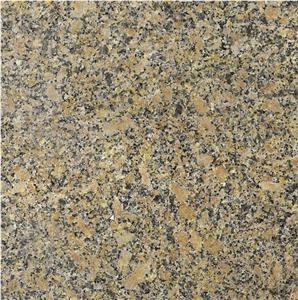 Polished Brazil Carioca Gold Granite Tiles and Slabs, Almond Juparana Flooring,Amarello Gold Wall Covering,Amarelo Amendoa Classico Skirt,Amarelo Dorado Carioca,Amarillo Almendra Clasico,Caricca Gold