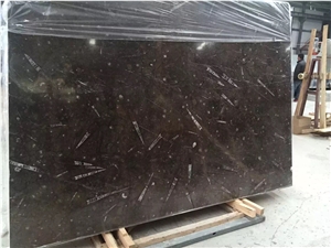 Fossil Nero Slabs, Fossil Black Limestone Tiles & Slabs