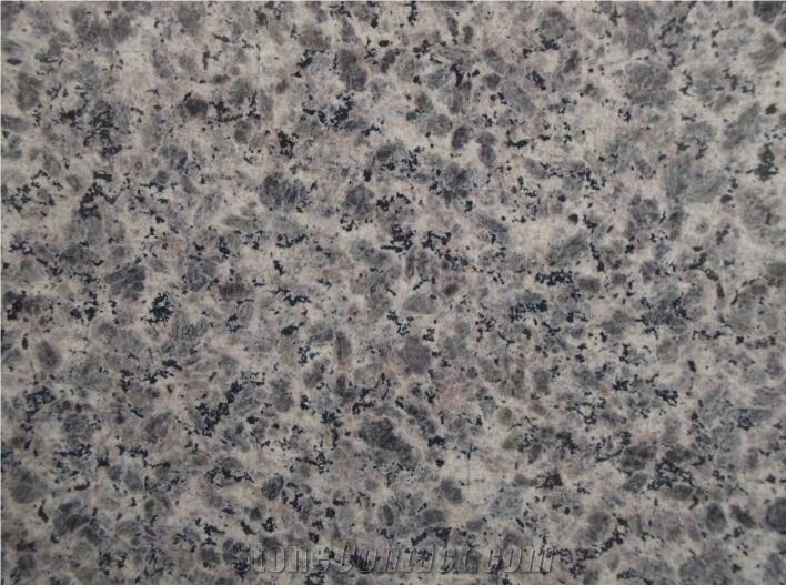 Fargo Leopard Skin Granite Polished Tiles and Slabs, Leopard Brown Granite Wall Covering, Chinese Brown Granite Polished Wall/Floor Tiles, Leopard Flower Half Slabs and Big Slabs