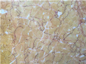 Golden Net Marble Slabs & Tiles, Turkey Yellow Marble
