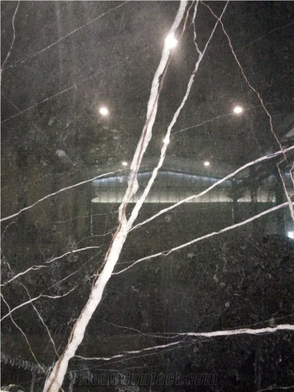 Nero Di Ormea St.Laurent Black Gold Marble Slabs & Tiles, Italy Black Marble