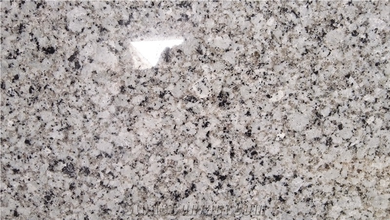 Magnolia White Granite Slabs & Tiles
