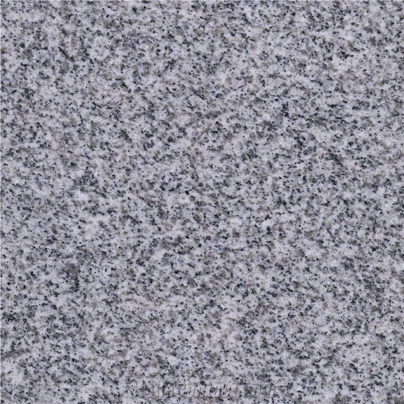 G603 Bianco Sardo Grey Granite Kerbsstone for Road Side / Curbs Landscaping Stone for Exterior