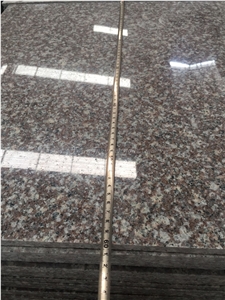 Cheap Price, China Ruby Red Granite Staircase, High Polished G664 Steps & Risers, Luna Pearl Granite Stair Thresholds, Xiamen Winggreen Manufacturer