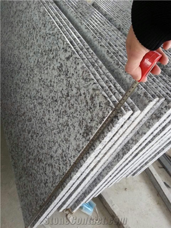 China Bianco Sardo Granite Countertops, G439 Granite Kitchen Island Tops, Big Flower White Kitchen Desk Tops, Xiamen Winggreen Manufacturer