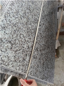 China Bianco Sardo Granite Countertops, G439 Granite Kitchen Island Tops, Big Flower White Kitchen Desk Tops, Xiamen Winggreen Manufacturer