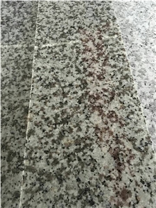 China Bianco Sardo Granite Staircases, G439 Granite Steps & Risers, Big Flower White Granite Stairs for Ourdoor & Indoor Use, Xiamen Winggreen Manufacturer