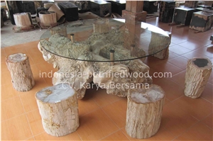 Petrified Wood Coffee Tables & Dinning Tables