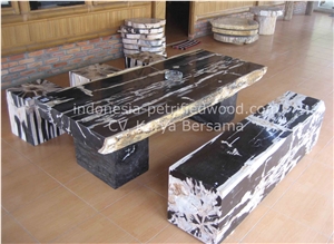 Petrified Wood Coffee Tables & Dinning Tables