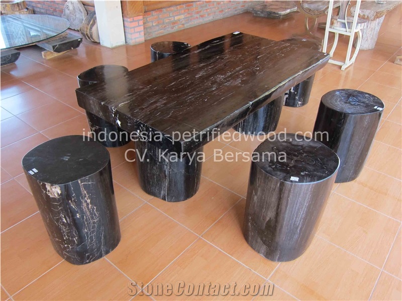 Petrified Wood Coffee Tables & Dinning Tables