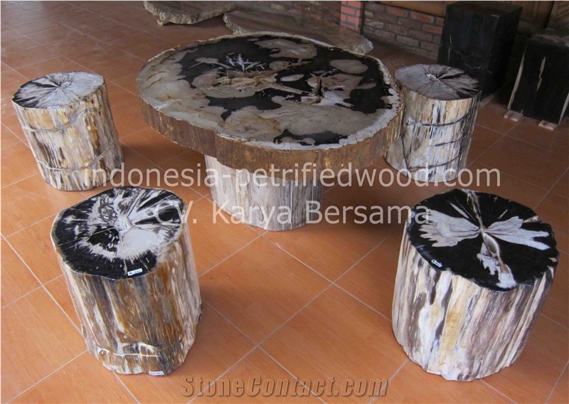 Petrified Wood Coffee Tables & Dinning Tables