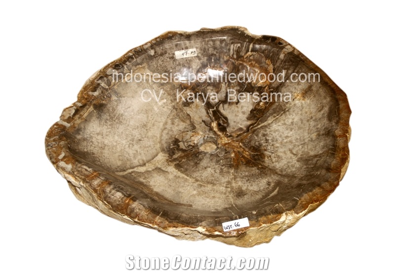 Petrified Wood Sinks and Bowls
