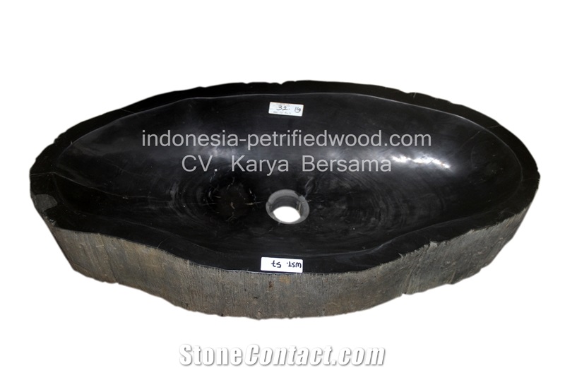 Petrified Wood Sinks and Bowls