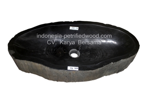 Petrified Wood Sinks and Bowls