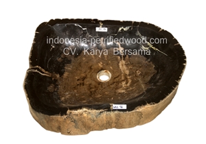 Petrified Wood Sinks and Bowls