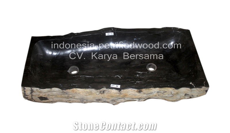 Petrified Wood Sinks and Bowls
