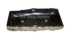 Petrified Wood Sinks and Bowls