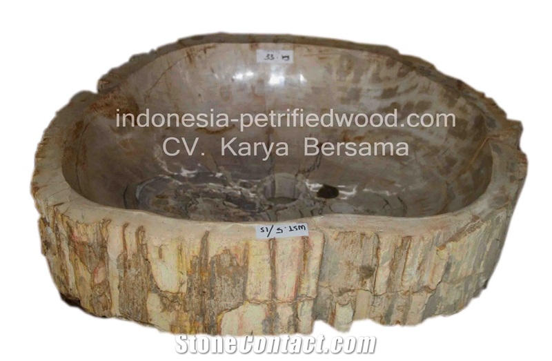 Petrified Wood Sinks and Bowls