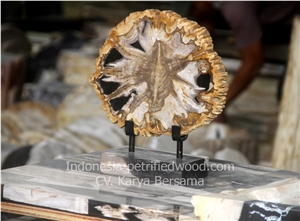 Petrified Wood Slice Home Deco