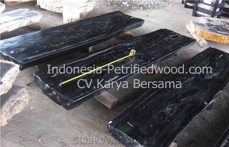 Petrified Wood Tables, Dinner Table
