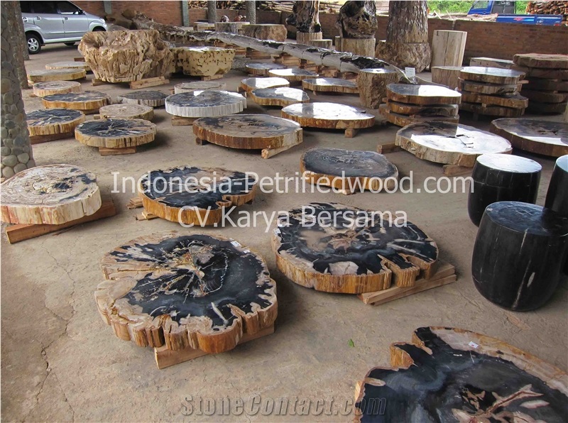 Petrified Wood Tables, Dinner Table