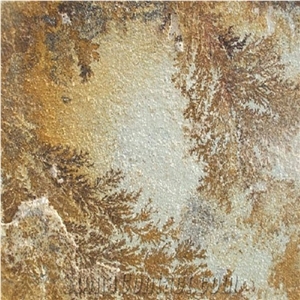 Fossil Mint Sandstone