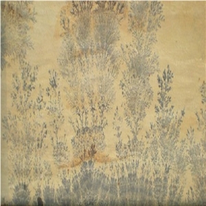 Fossil Mint Sandstone