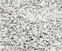 Saudi Bianco Granite Tiles & Slabs