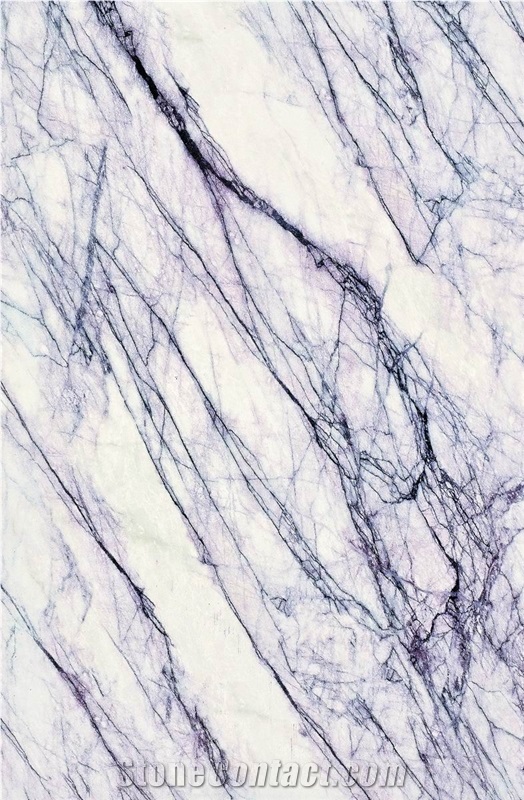 Mj69jpp Ceramic Tiles